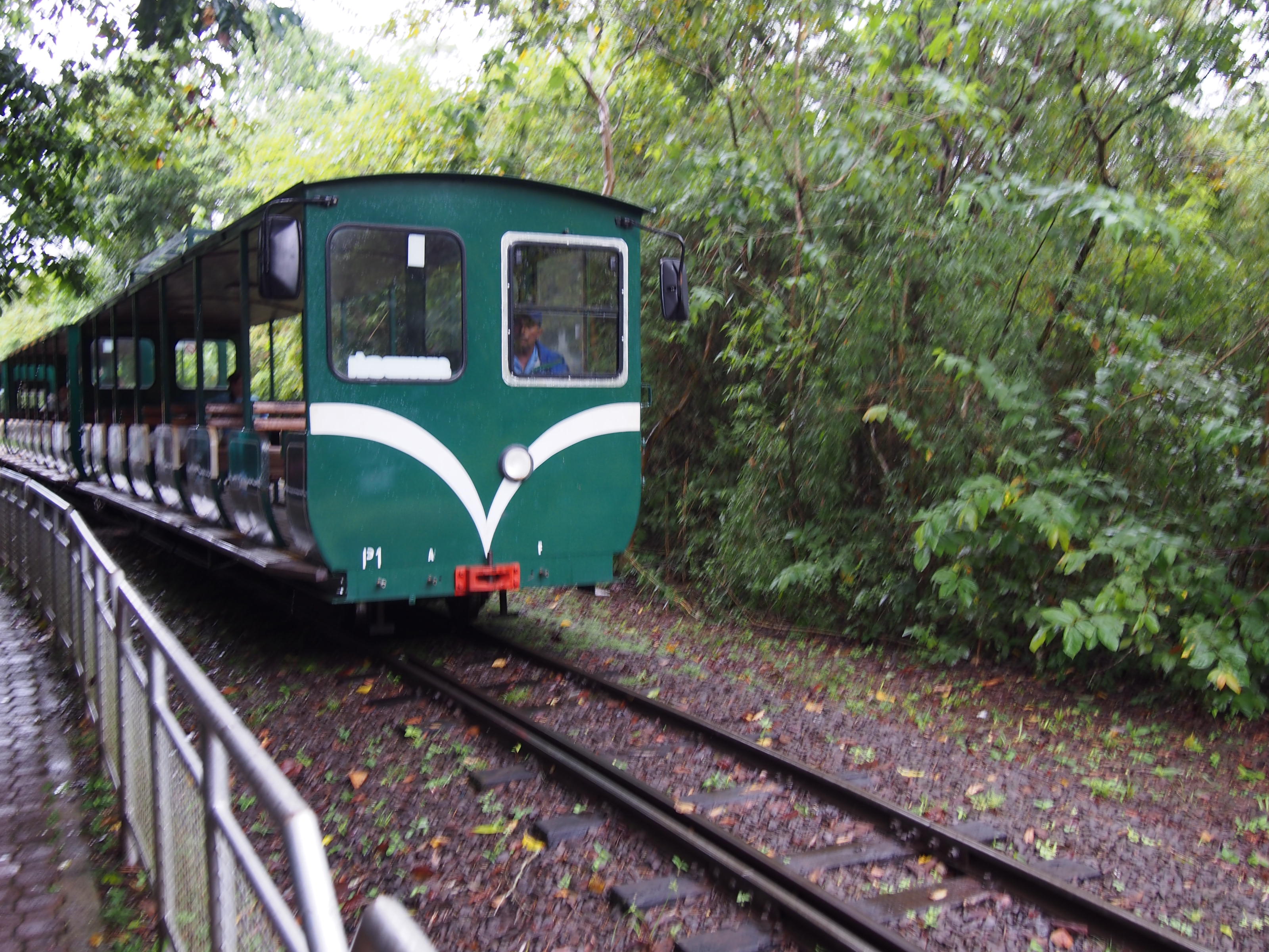 CJP20393